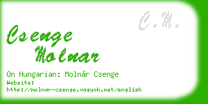 csenge molnar business card